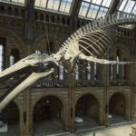 Royaume-Uni : la chaleur extrême menace la conservation des œuvres dans les musées