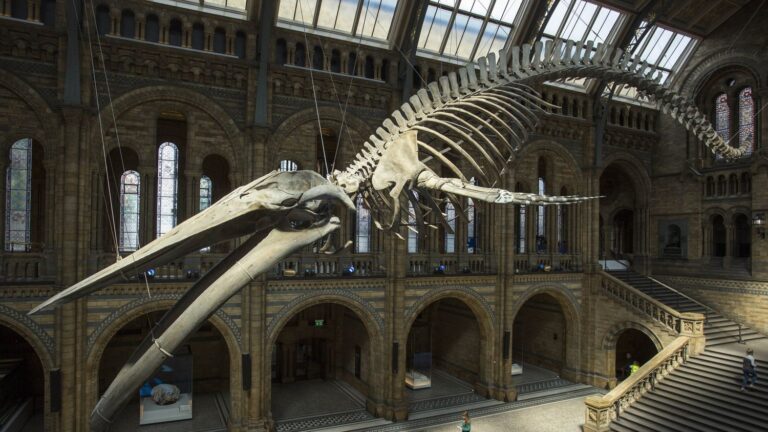 Royaume-Uni : la chaleur extrême menace la conservation des œuvres dans les musées