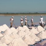 La récolte de la fleur de sel attire les visiteurs à Aigues-Mortes et dynamise l&rsquo;économie locale.