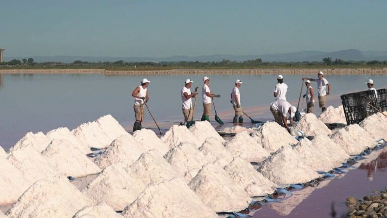 La récolte de la fleur de sel attire les visiteurs à Aigues-Mortes et dynamise l’économie locale.