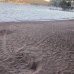 Découverte d&rsquo;un deuxième nid de tortue marine sur la plage de Saint-Raphaël, un événement rare.