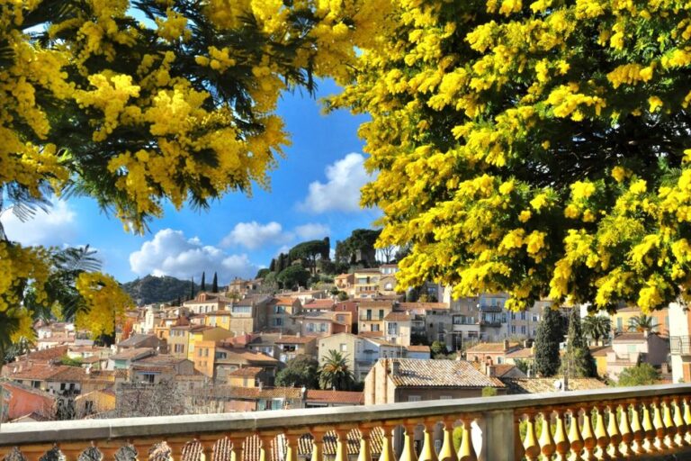 Bormes-les-Mimosas désigné village préféré des Français selon le concours national.