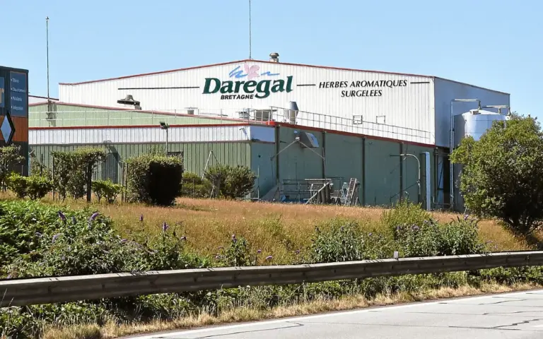 Darégal, leader européen des herbes surgelées, ferme son usine à Saint-Divy.