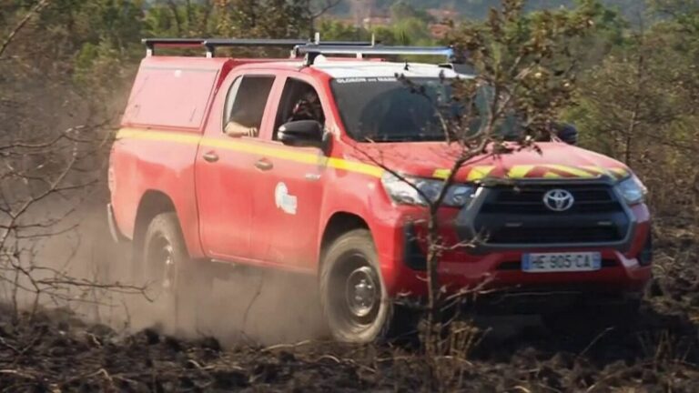 Incendies persistants dans les Pyrénées-Orientales menacent la forêt locale