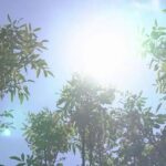 Canicule en France : campings bondés et pannes d&rsquo;ascenseurs signalées