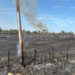 Incendies dans la Brenne : 800 hectares brûlés, pompiers toujours mobilisés.