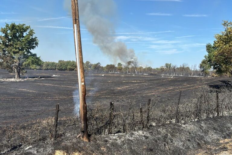 Incendies dans la Brenne : 800 hectares brûlés, pompiers toujours mobilisés.