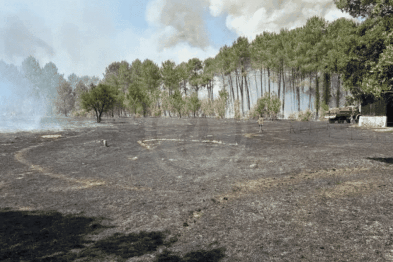 Incendie dans les Landes : un pompier blessé, neuf personnes évacuées par les secours
