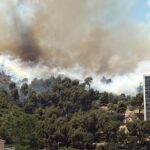 Incendie à Marseille : douze hectares de collines ravagés par les flammes.