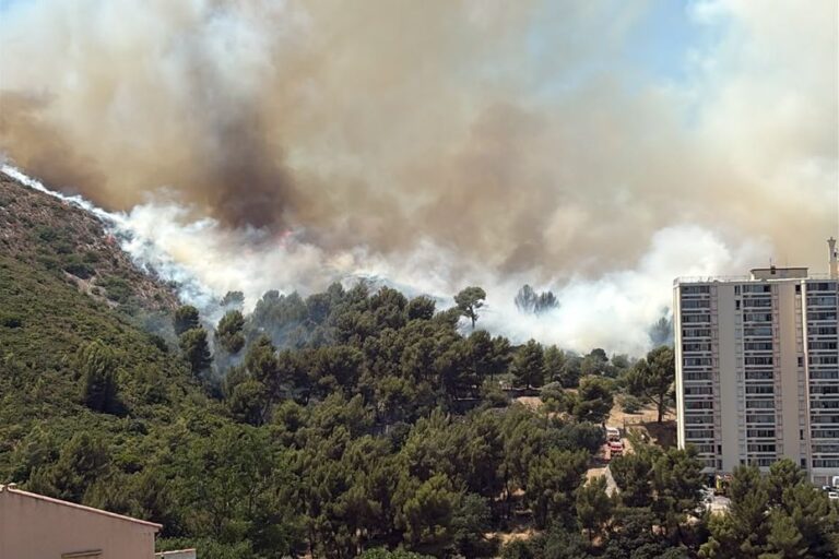 Incendie à Marseille : douze hectares de collines ravagés par les flammes.