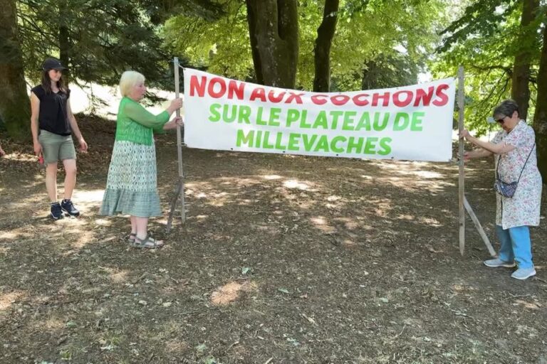 Colère des élus et opposants après la décision du préfet sur le projet de porcherie à Vassivière.