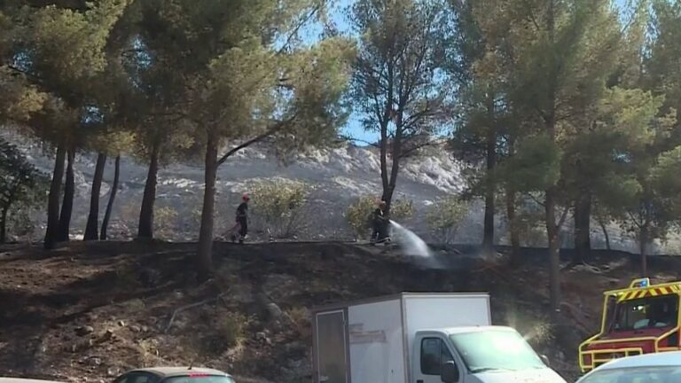 Incendie à l’est de Marseille : les pompiers mobilisés pour maîtriser le feu