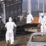 Seveso, Italie : une catastrophe qui a transformé la conscience écologique en Europe
