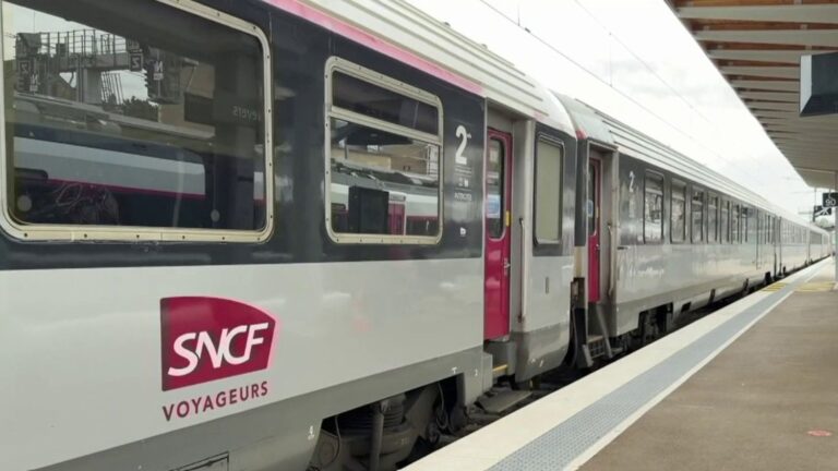 Trains annulés : la SNCF confrontée à des perturbations importantes sur son réseau