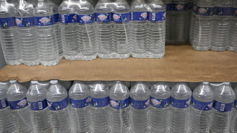 Interdiction des packs d’eau en France : une eurodéputée du RN s’exprime sur la question.
