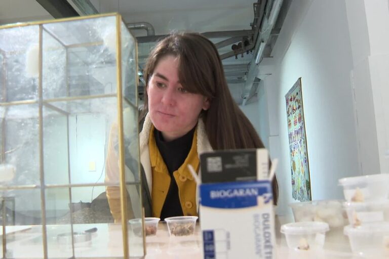 Designer textile, une jeune femme transforme son deuil en œuvre créative par le tissage.