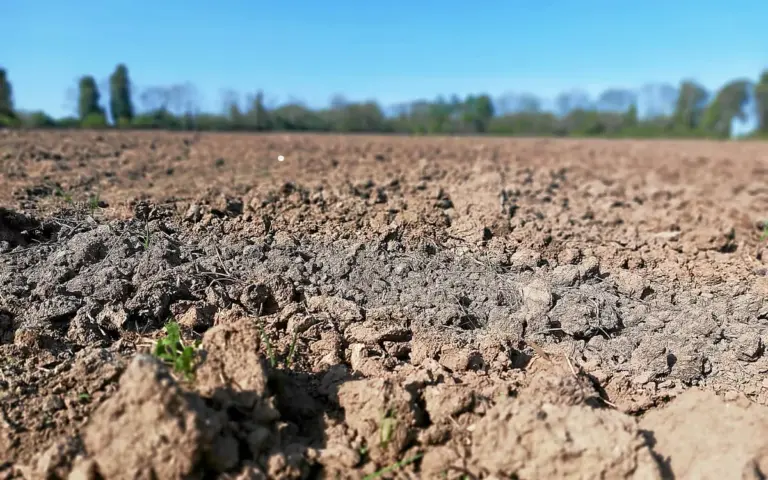 Niveau de sécheresse des sols en Bretagne comparable à fin août.
