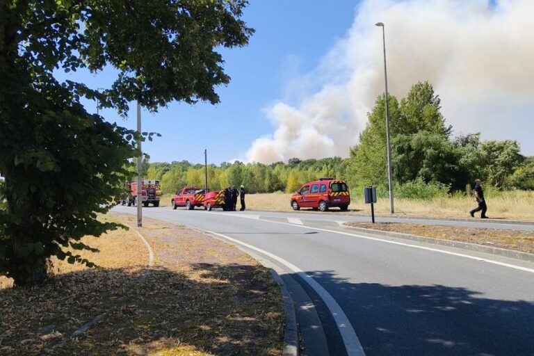 Incendie près d’Orléans : 80 hectares brûlés, un pompier blessé en intervention.