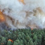 Incendie de 300 hectares près de l&rsquo;A6 en Seine-et-Marne, 15 habitations évacuées