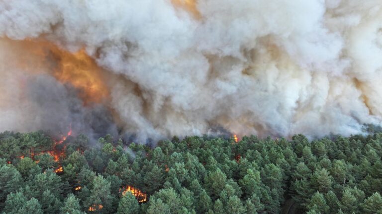Incendie de 300 hectares près de l’A6 en Seine-et-Marne, 15 habitations évacuées