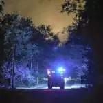 Incendie à Fontainebleau : deux Canadair mobilisés pour maîtriser un feu majeur.