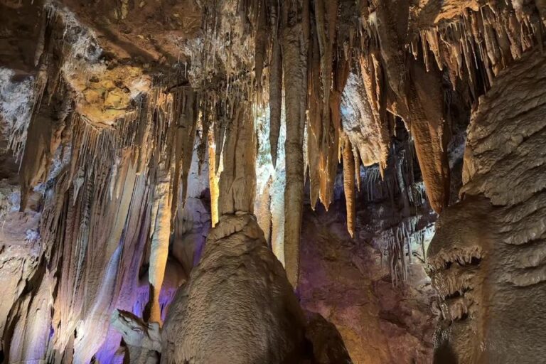 Grasse : Une grotte offre une visite fraîche aux visiteurs pendant la canicule.