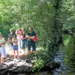 Saint-Avé : un collectif s’oppose à un projet d’élevage de 40 000 poules