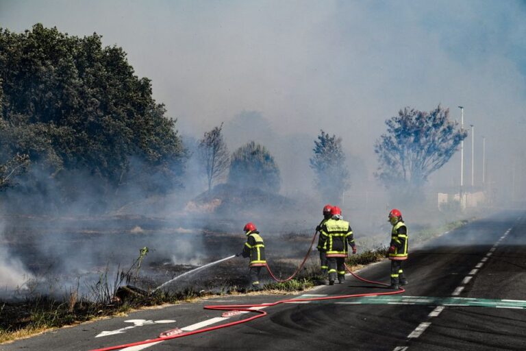 Incendies dans les Pyrénées-Orientales : renfort des sapeurs-pompiers des Hauts-de-France