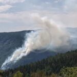 Incendie en Montagne Noire : 10 hectares de forêt brûlés, intervention de 100 pompiers.