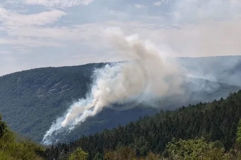 Incendie en Montagne Noire : 10 hectares de forêt brûlés, intervention de 100 pompiers.