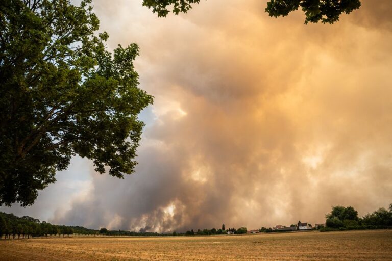 Des odeurs de brûlé dans le Loiret, les pompiers appellent à ne pas saturer les lignes d’urgence.