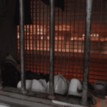 Chaleur et surpopulation créent des tensions à la maison d&rsquo;arrêt de Pau, selon des détenus.