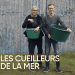 Les cueilleurs de la mer en France face à des difficultés d’approvisionnement.