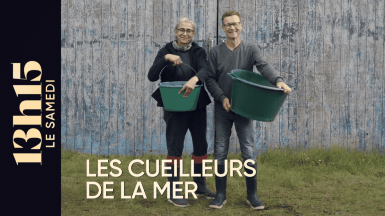 Les cueilleurs de la mer en France face à des difficultés d’approvisionnement.