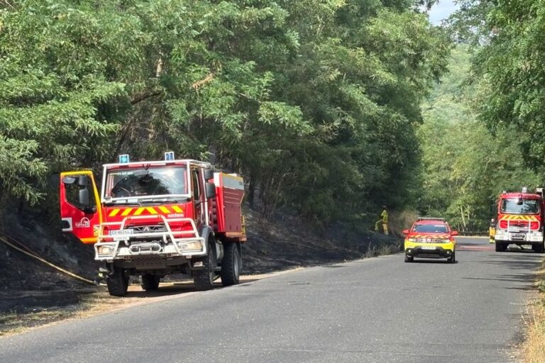 Évacuation de 50 touristes et déploiement de 65 pompiers après un incendie près du parc des Combes