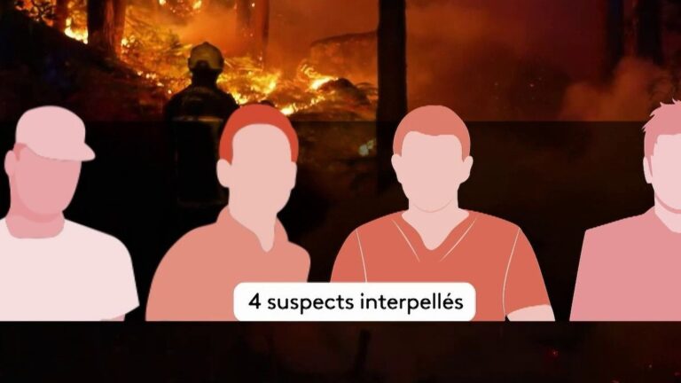 Un agriculteur identifie un suspect de l’incendie de Fontainebleau, enquête en cours.