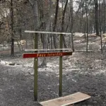 Feux de forêt en Fontainebleau : quatre personnes en garde à vue, la situation stabilisée.