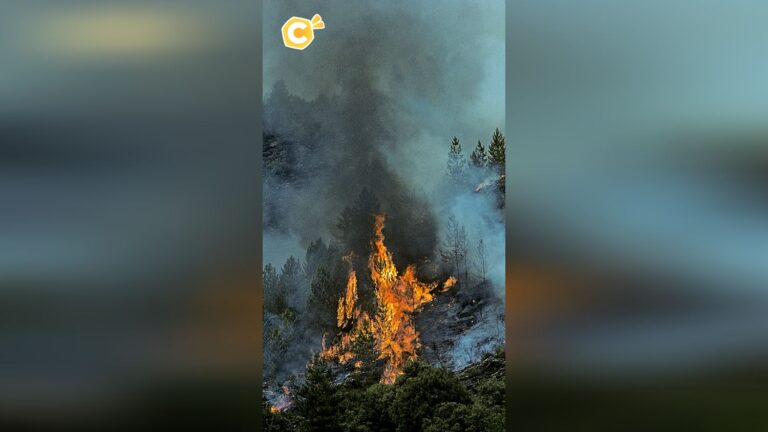 Un homme provoque un incendie de 600 m² en brûlant ses papiers du bac.