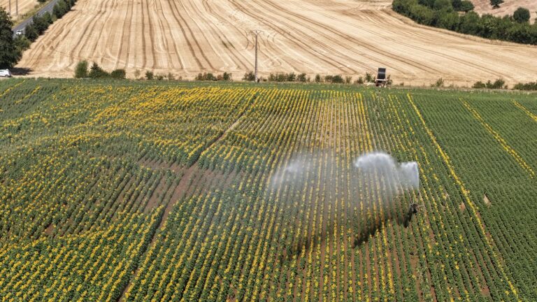 Accord entre députés et sénateurs sur la loi d’urgence agricole en commission mixte paritaire
