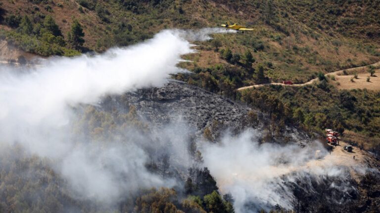 Incendie d’un orphelinat près d’Alger : au moins 11 morts confirmés