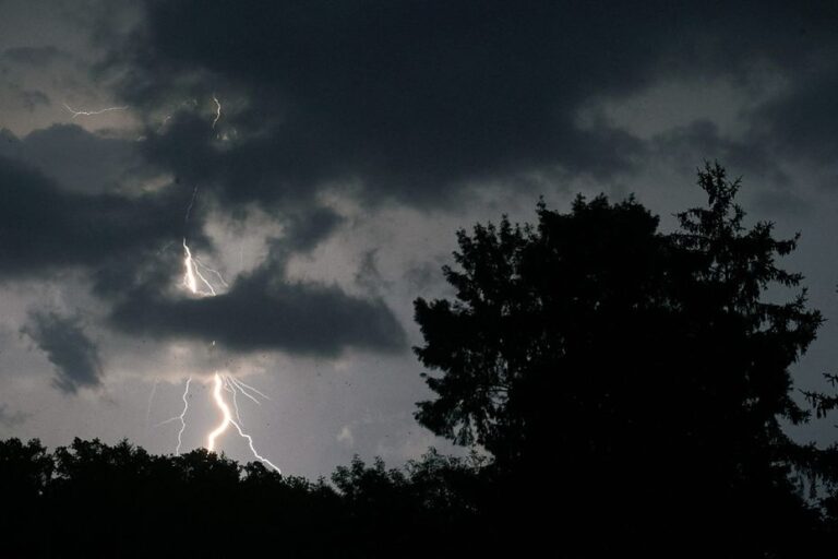 Orages en Alsace : grêle et vents violents causent des chutes d’arbres locaux.