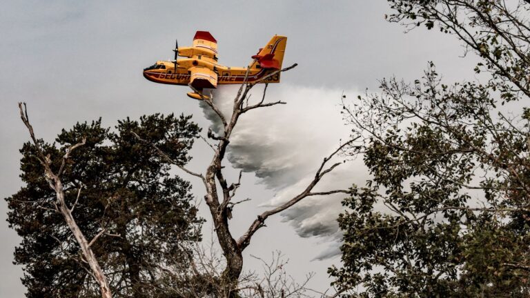 Emmanuel Macron défend les commandes de Canadair et annonce une relance de la production depuis 2017.