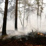 Incendies à Fontainebleau : Emmanuel Macron appelle à la mobilisation des dons