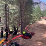 Feu d&rsquo;Albertacce : 280 hectares ravagés par les flammes en Corse.