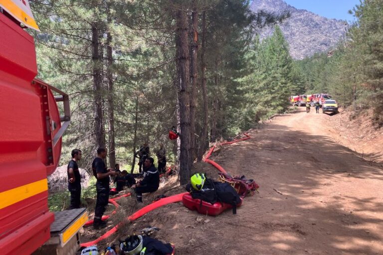 Feu d’Albertacce : 280 hectares ravagés par les flammes en Corse.