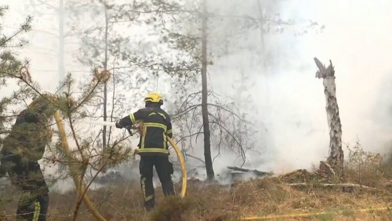 Incendies de Fontainebleau : reprises fréquentes malgré la fixation du feu dans la forêt