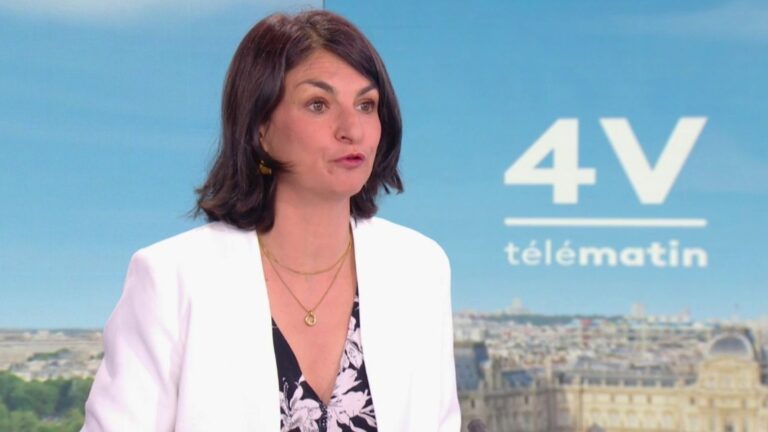 Loi d’urgence agricole : Aurélie Trouvé qualifie le texte de « loi criminelle »