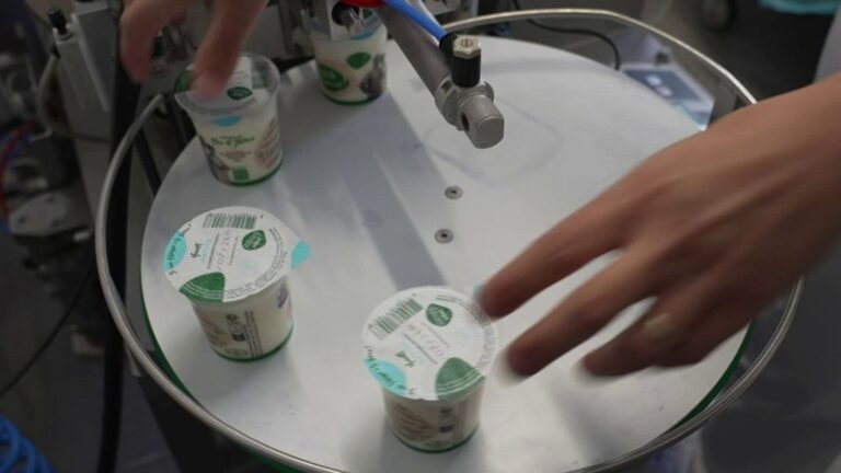 Des éleveurs laitiers de l’Isère produisent des yaourts maison, un succès local.