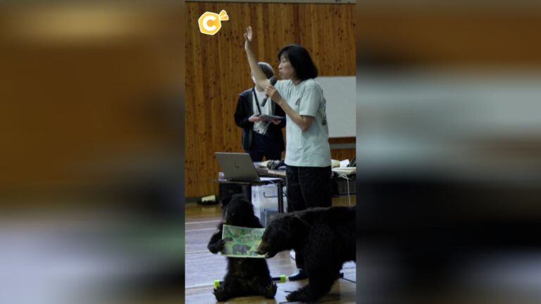 Des habitants apprennent à réagir face à des ours dans une région rurale.
