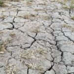 Alerte sécheresse : Eau 17 appelle les Rétais à réduire leur consommation d’eau